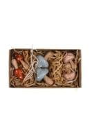 Wooden Toadstool Hanging Decorations. Set of 6