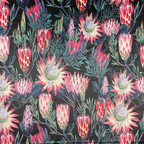 148cm Supreme Printed Velvet - Protea Flowers Black ID: 6019