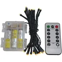 8 Metre Outdoor Multi-Function Battery LED Fairy Lights Timer and Remote | Dannells