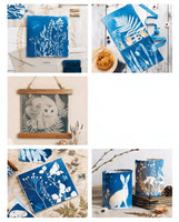 Beginners Guide to Cyanotype: Beautiful Projects to Print with Light