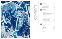 Beginners Guide to Cyanotype: Beautiful Projects to Print with Light