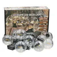 Globe Bulb Battery Operated Filament LED Light String  + Timer | Dannells