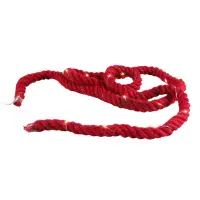 Jute Rope Red Battery Operated 22 LED String Lights 2 Metre + Timer | Dannells