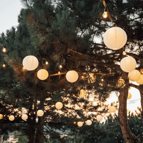 Outdoor & Garden LED Lights