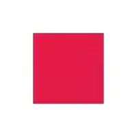 Scarlet Red Acrylic Paint - 250ml | Dannells
