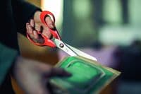 Scissors: General Purpose (LH): 21cm/8.25in