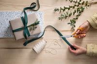 Scissors: General Purpose (RH): 21cm/8.25in