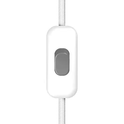 Single Pole In-line White  Switch With Titanium Button