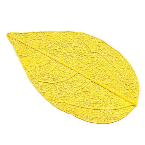 Skeleton Leaves Yellow 4-6 cm, 10 peces (24101)