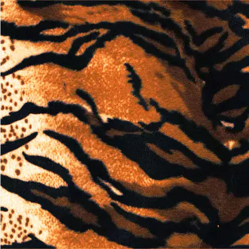 Tiger Print Fabric - 150cm