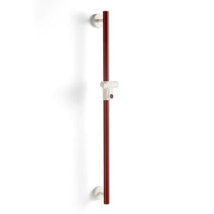 Dementia Friendly Shower Riser / Grab Rail