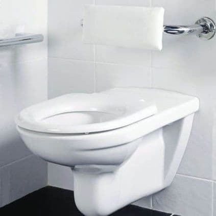 DTUK31 Wall Hung Disabled Toilet with Back Rest