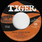 Barrington Biggs - You'll Never Get By / version (Tiger / Only Roots) 7"