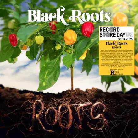 Black Roots - Roots (Nubian Records/Real Rock Records) LP