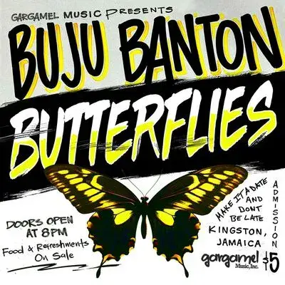 Buju Banton - Butterflies / Butterflies Instrumental (VP Records) 7