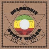 Bunny Wailer - Rule Dancehall / version (Solomonic / Dub Store) JPN 7"