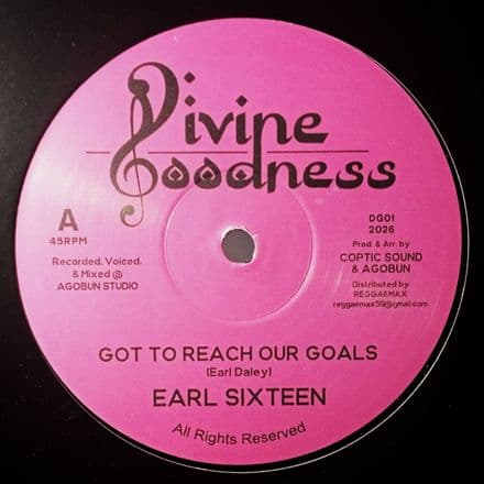 Earl Sixteen - Got To Reach Our Goals / Follow Jah Light (Divine Goodness) 12