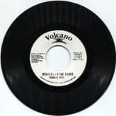 Frankie Paul - Worries In The Dance / Diseases Riddim (Jah Guidance / Volcano) UK 7"