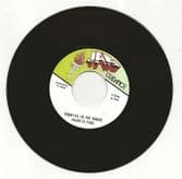 Frankie Paul - Worries In The Dance / Diseases Riddim (Jah Guidance / Volcano) UK 7"