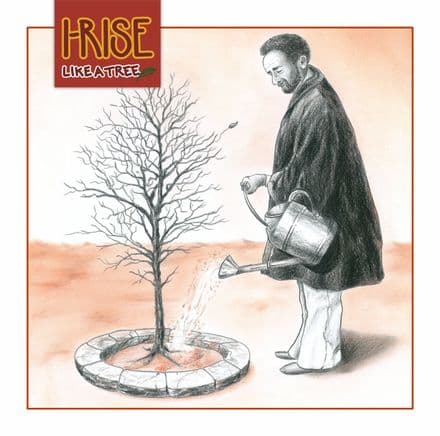 I-Rise - Like a Tree  (The Merchant Studio) LP