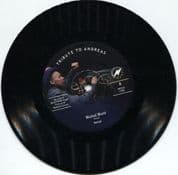 Iternal - Wicked World / Medi All Stars - Cutting Down Our Dub (Meditative Sounds) 7"