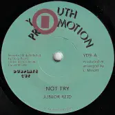 Junior Reid - Not Try / Version (Youth Promotions/Deep Roots) 7"