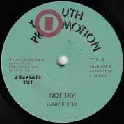 Junior Reid - Not Try / Version (Youth Promotions/Deep Roots) 7"