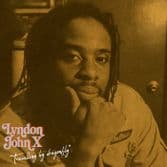 Lyndon John X - Travelling By Dragonfly (Back To Basics) LP