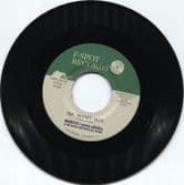 Marcus I Meets aDUBta & The Black Oak Roots AllStarsb - Mr Money Man / Version (F Spot Records)  7"