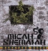 Micah Shemaiah - Backyard Sensi / Dub (WeGeneration Music) 7"