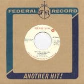Minstrels - Hey There Lonely Girl / Hey There Lonely Girl Acappella (Merritone) JAP 7"