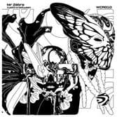Mr Zebre - A Path In Between (Warrior Charge Records) LP