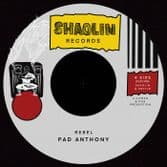 Pad Anthony - Rebel / Version (Shaolin Records) 7"