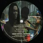 Peter Hunnigale - Roots Garden / Roots Garden Version  (Vibes Central Records) 12"
