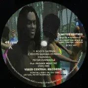 Peter Hunnigale - Roots Garden / Roots Garden Version  (Vibes Central Records) 12"