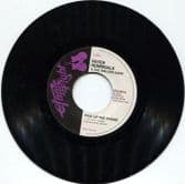 Peter Hunnigale & The Wailers Band – Pick Up The Phone / [Acapella Version] (Ethnic Fight) 7"