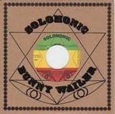 Peter Tosh - Anti-Apartheid / Solidarity (Solomonic / Dub Store) 7