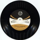 Ranking Fox - Effects Of Colonialism / Dub Hunters - Version (Dub Hunters Soundsystem) 7"