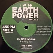 Ranking Fox - I'm Not Insane / Earth & Power Meets Radikal Wizzdom - Dub (Earth & Power Records) 12"