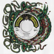 Ronnie Davis - Sun Is Shining / The Agrovators & Prince Fatty - Dub (Gorgon Records/VP) 7"