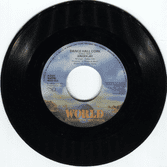 Singer Jay - Dancehall Cork / Computer Radics - Part 2 (World Enterprise Records) 7"