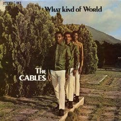 洋楽 Cables- What Kind Of World Studio One The Cables - What Kind Of World - YouTube