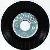 The Coolmoods ft. Roger Rivas - If I Were You / 301 (Shubedu Records) 7"