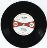 The Pioneers - I Feel So Bad / Version (Original Gravity) 7"