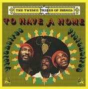 The Visionaires - To Have A Home (Orthodox / Jah Fingers) LP