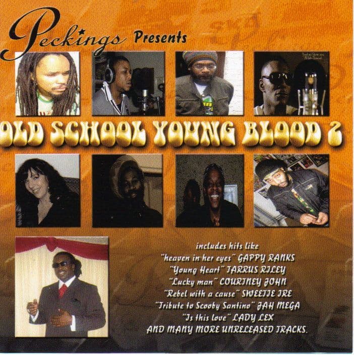 Peckings 名盤2LP OLD SCHOOL YOUNG BLOOD Various - Old School Young Blood 2 Peckings CD