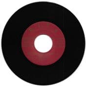 Winston Reedy - None Shall Escape The Judgement / Salute ft Vin Gordon - Russian Skank (R.I.T.S.) 7"