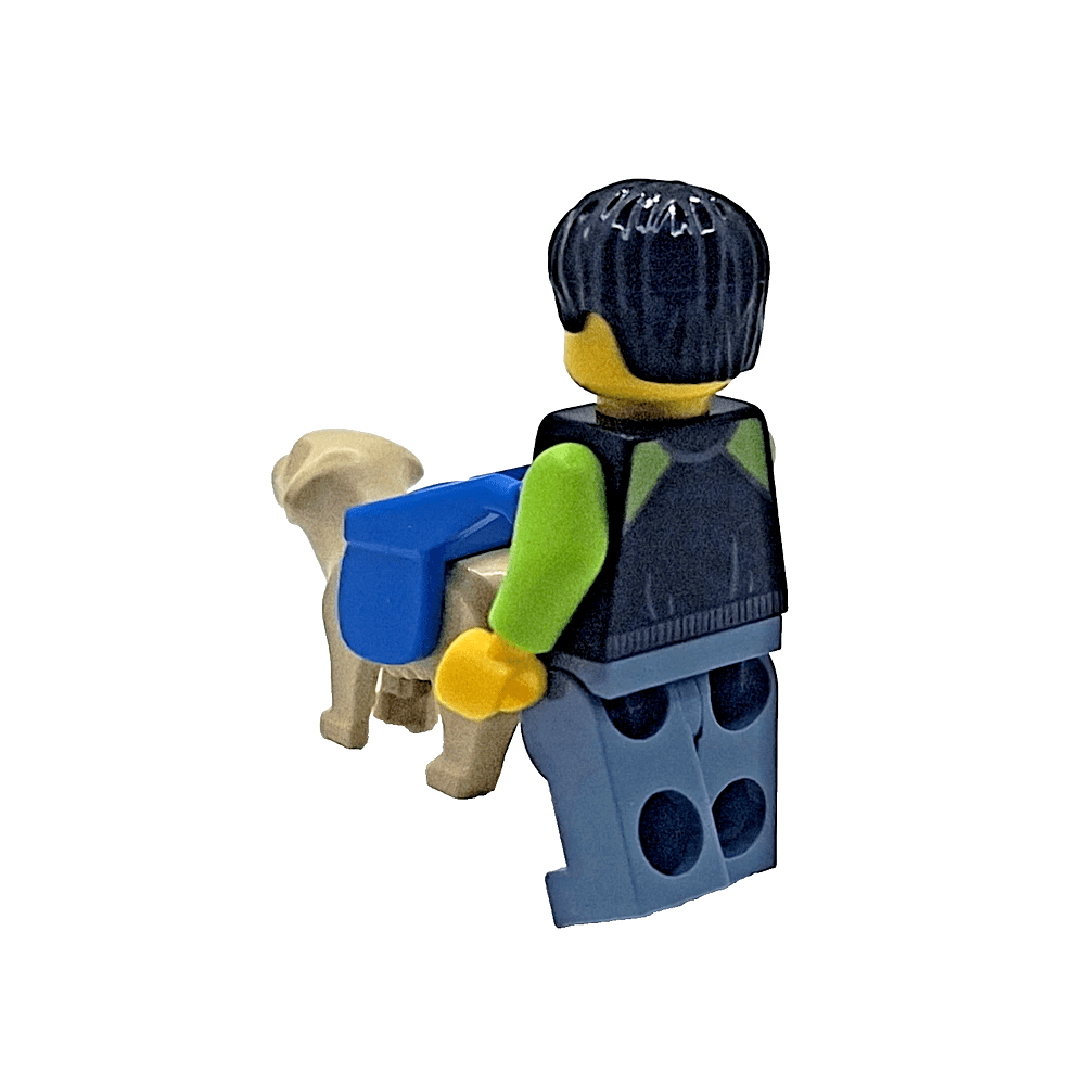 LEGO Visually Impaired Blind Man & Guide Dog Labrador Minifigures Gift ...