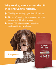 Is Chicken Good For Dogs With Cancer