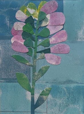 Foxglove
